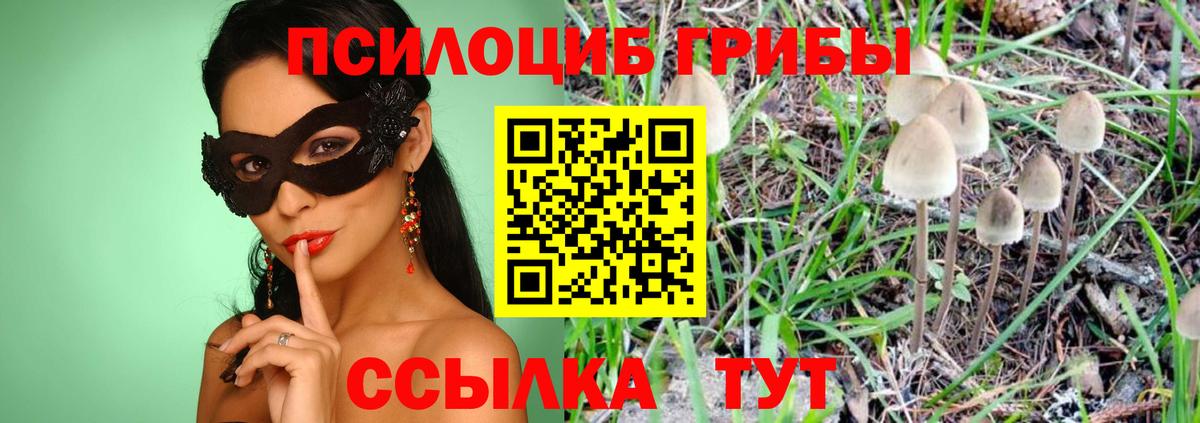 Галлюциногенные грибы MAGIC MUSHROOMS  Вход с VPN  что такое   Псилоцибиновые грибы MAGIC MUSHROOMS  Каменск-Уральский 