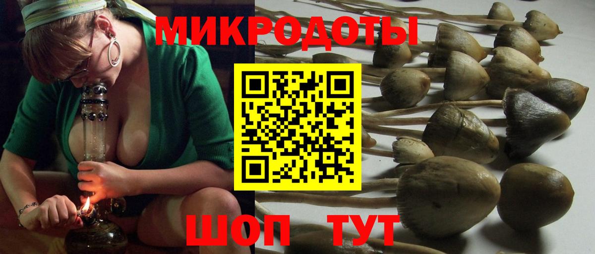Галлюциногенные грибы прущие грибы Каменск-Уральский